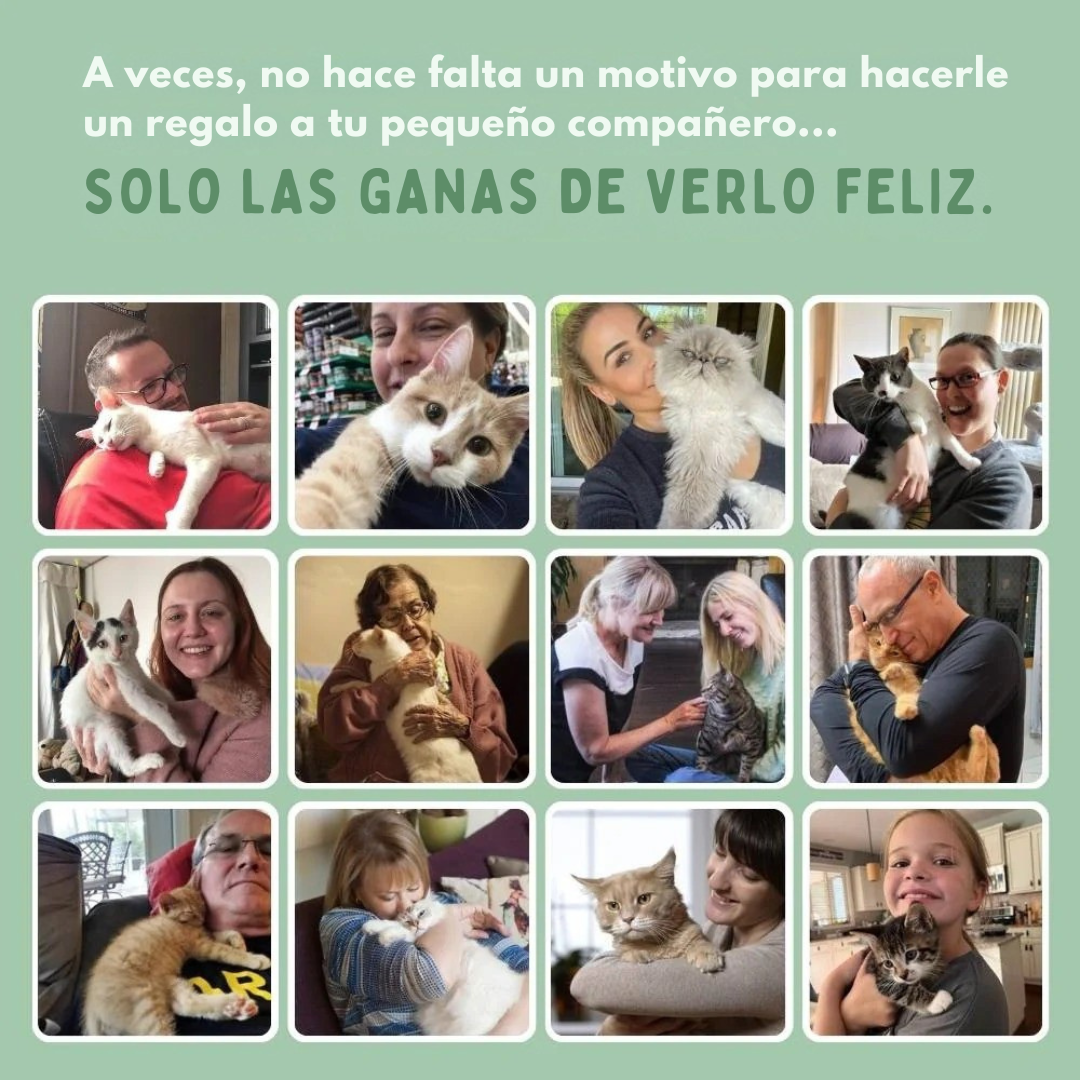 MiauFun™ - Bola de aventura interactiva para tus gatos