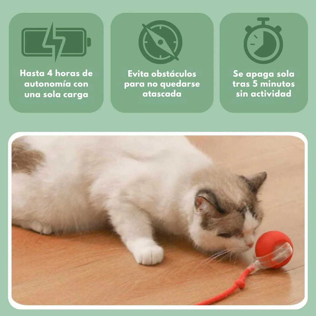 MiauFun™ - Bola de aventura interactiva para tus gatos
