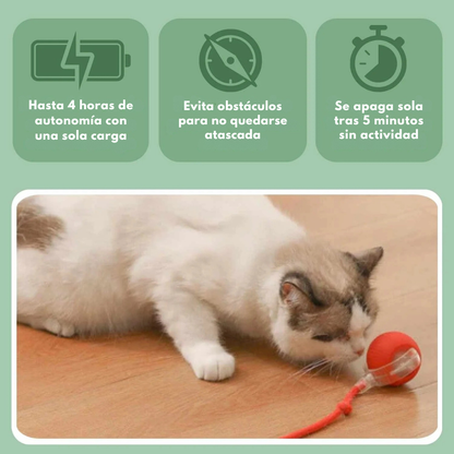 MiauFun™ - Bola de aventura interactiva para tus gatos