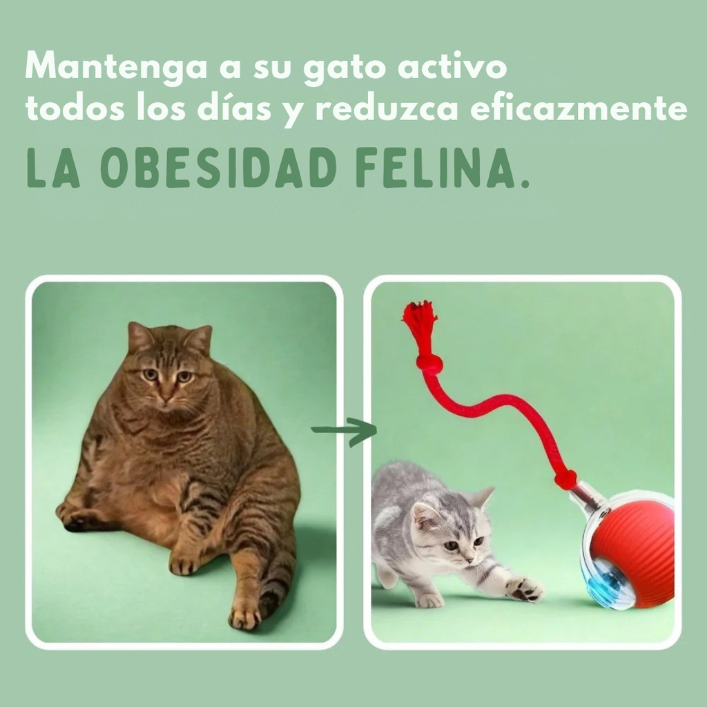 MiauFun™ - Bola de aventura interactiva para tus gatos