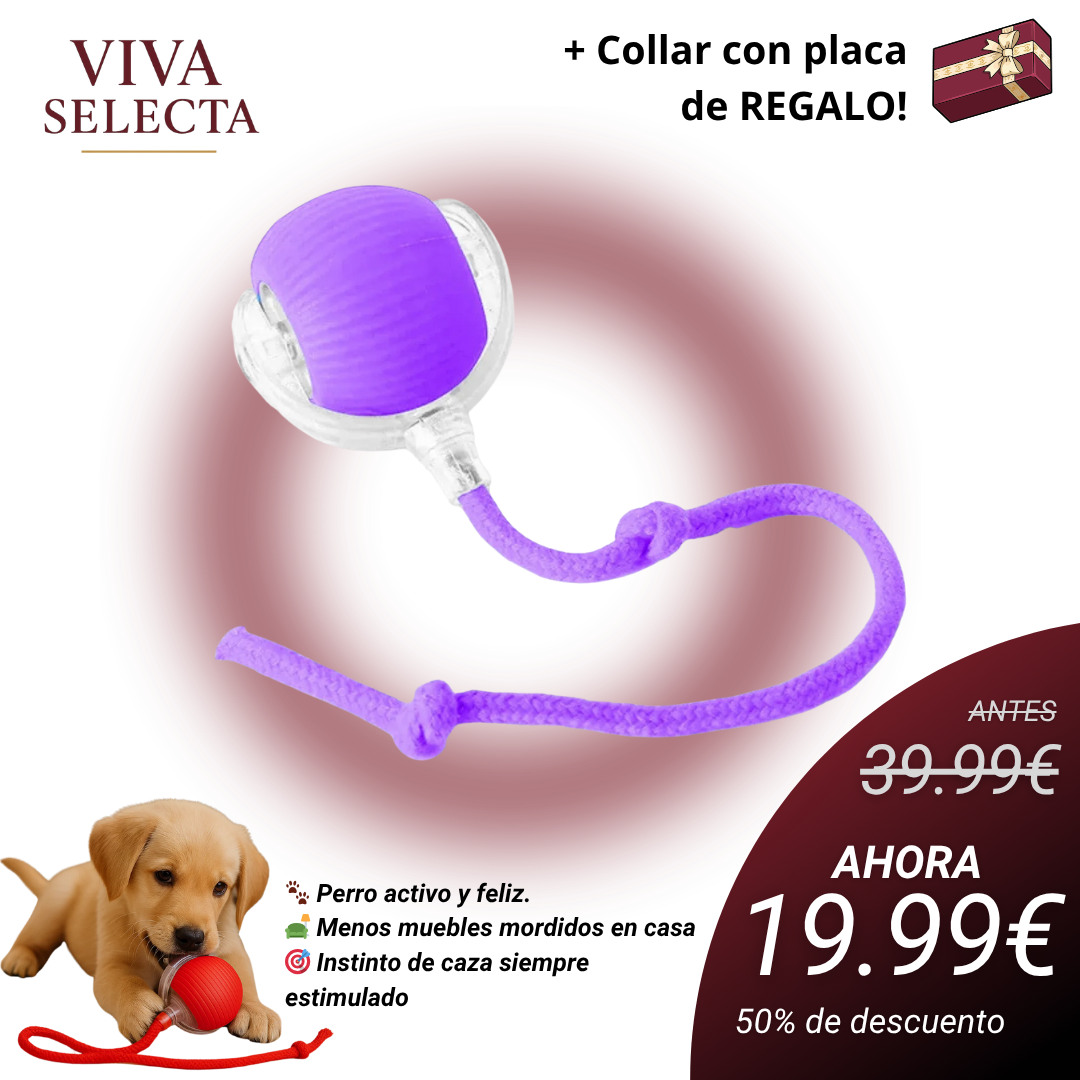 GauFun™ - Pelota interactiva de aventura para tus perros