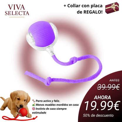 GauFun™ - Pelota interactiva de aventura para tus perros