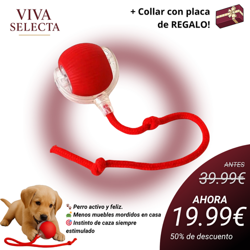 GauFun™ - Pelota interactiva de aventura para tus perros