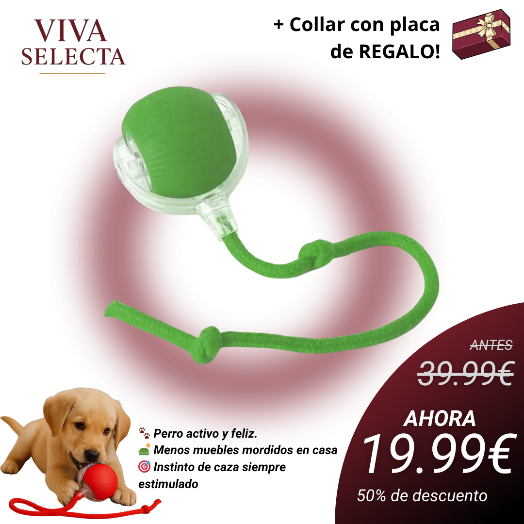 GauFun™ - Pelota interactiva de aventura para tus perros