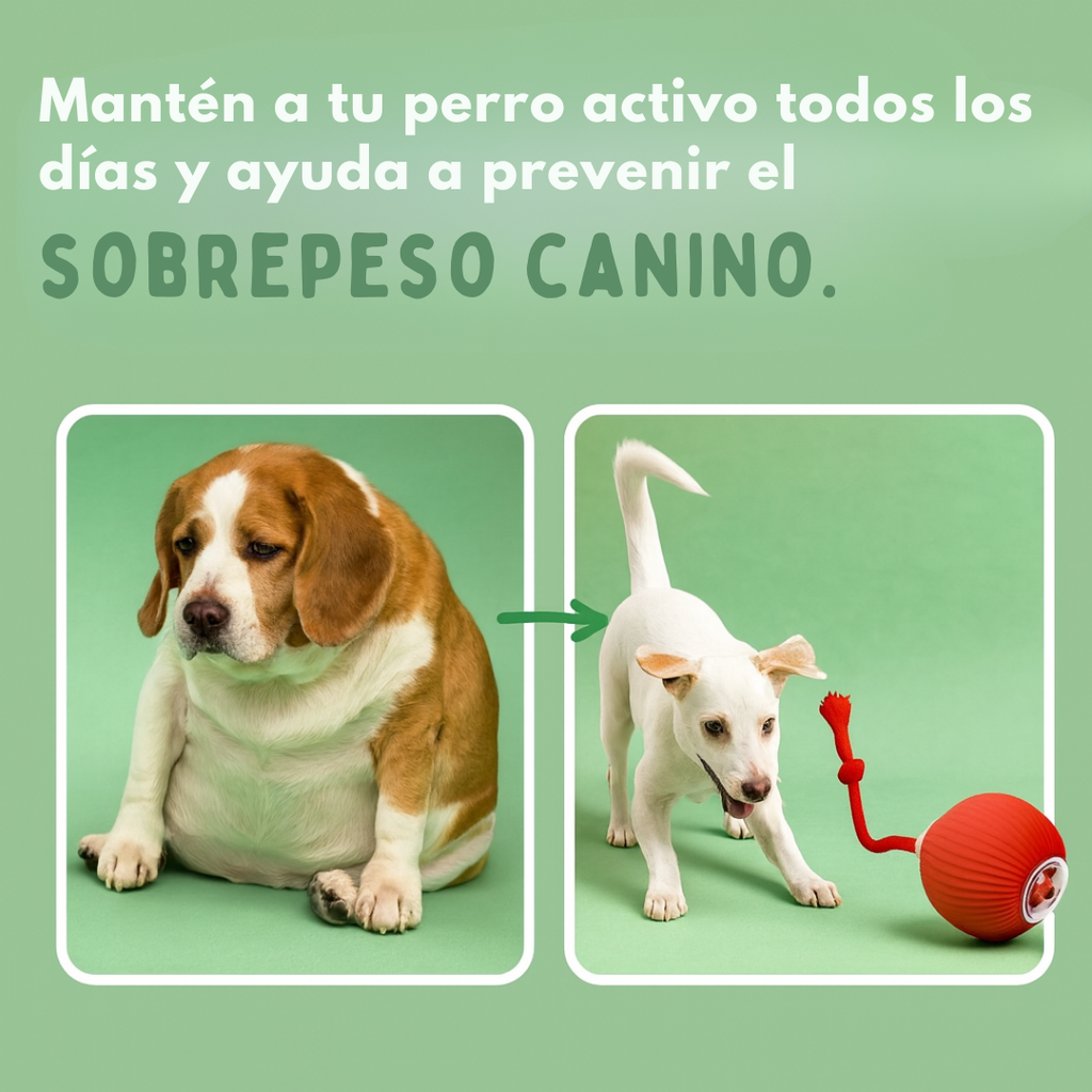 GauFun™ - Pelota interactiva de aventura para tus perros