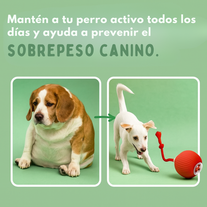 GauFun™ - Pelota interactiva de aventura para tus perros