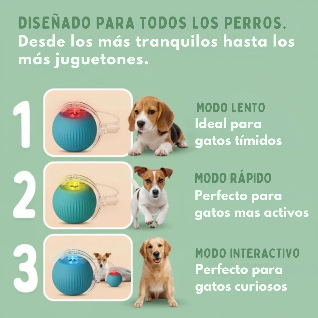 GauFun™ - Pelota interactiva de aventura para tus perros