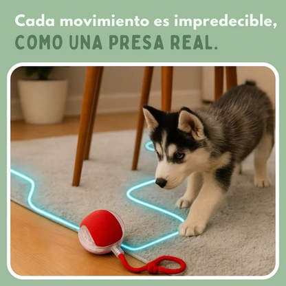 GauFun™ - Pelota interactiva de aventura para tus perros