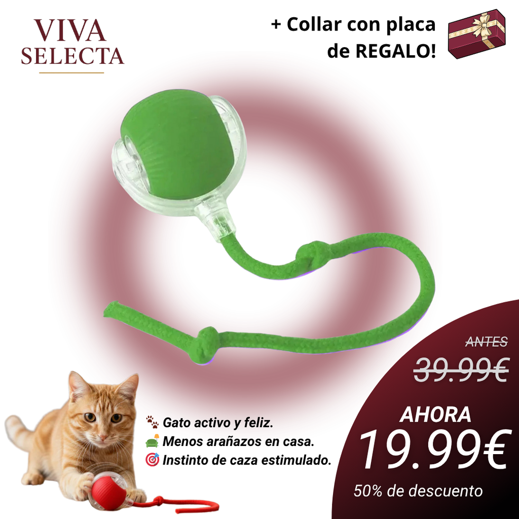 MiauFun™ - Bola de aventura interactiva para tus gatos