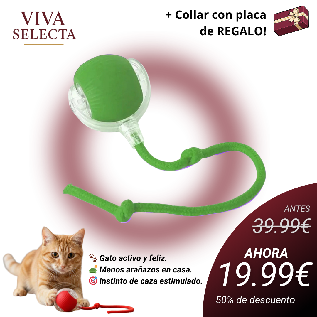 MiauFun™ - Bola de aventura interactiva para tus gatos