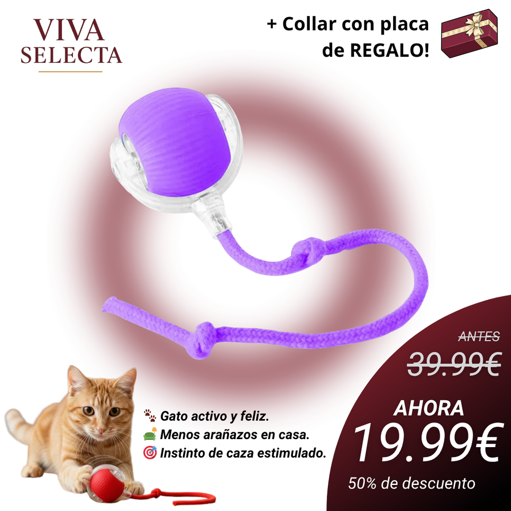 MiauFun™ - Bola de aventura interactiva para tus gatos