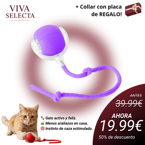 MiauFun™ - Bola de aventura interactiva para tus gatos