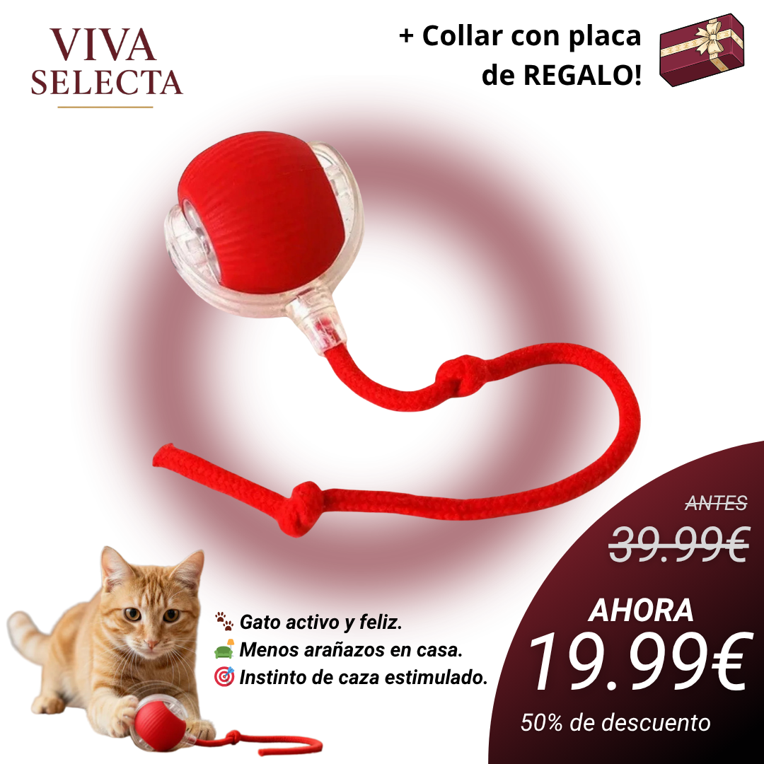 MiauFun™ - Bola de aventura interactiva para tus gatos