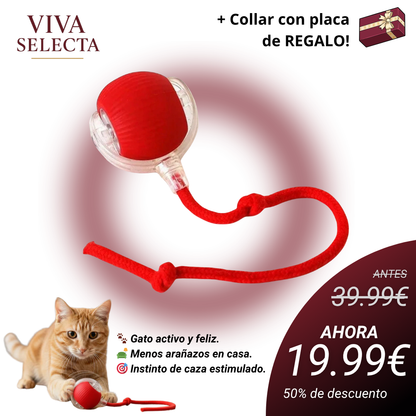 MiauFun™ - Bola de aventura interactiva para tus gatos